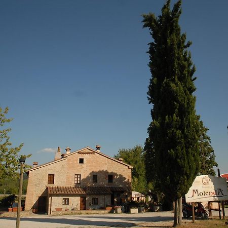 Molenda B&B Città di Castello Εξωτερικό φωτογραφία