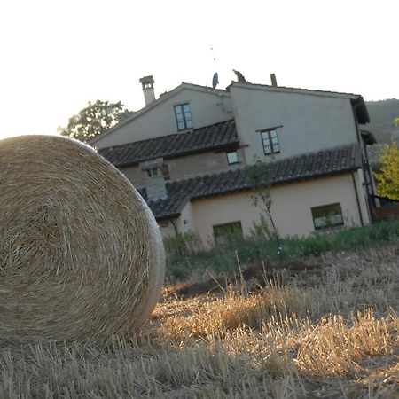 Molenda B&B Città di Castello Εξωτερικό φωτογραφία