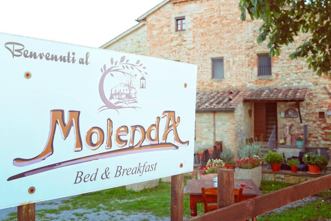 Molenda B&B Città di Castello Εξωτερικό φωτογραφία