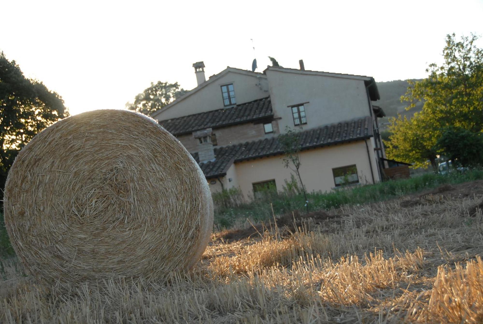 Molenda B&B Città di Castello Εξωτερικό φωτογραφία